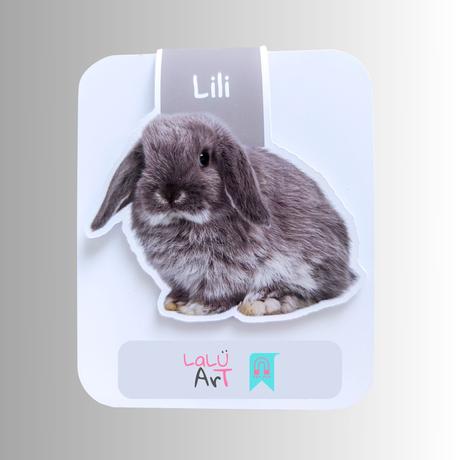 Magnetická záložka - tvoje zvieratko, 