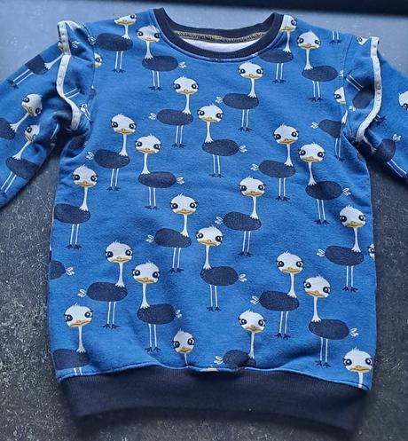 Mikina /pstrosy, 128