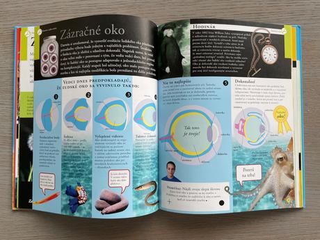 Vedecke objavy za 30 sekund,