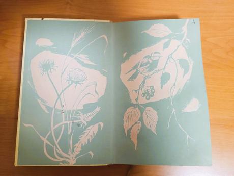 Zo živých prameňov (1960), 