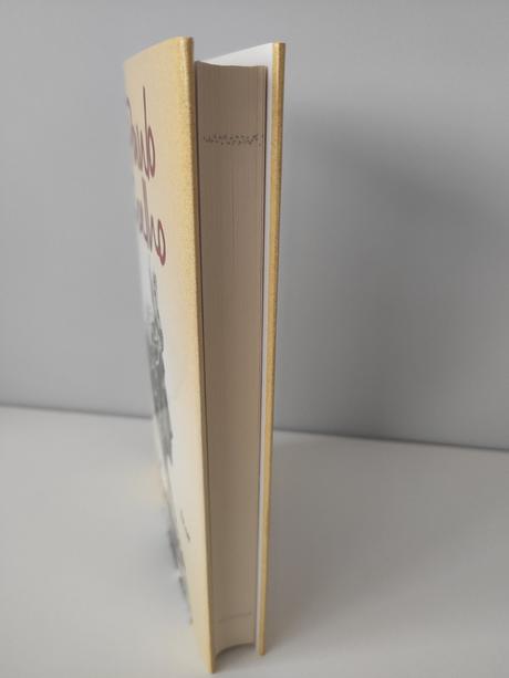 Paulo coelho - špiónka, 