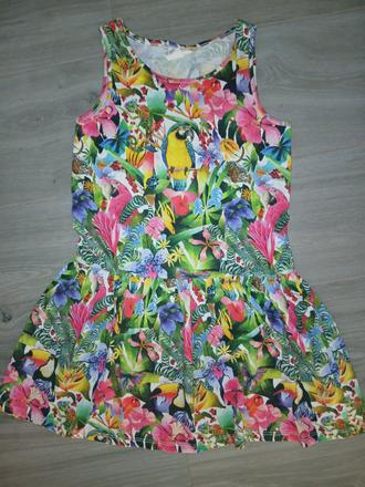 Letné bavlnené šaty tukan,papagáje..limitka, h&m,134