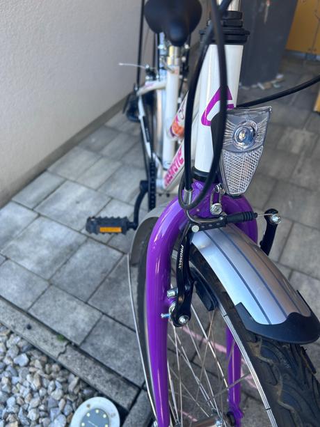 Dievcensky bicykel, 24