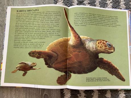 Zvieratá európy-prvé vyd.1997, 
