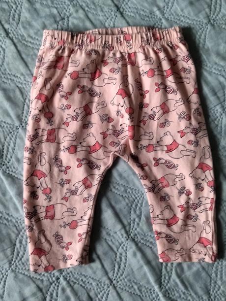 Pudláče, disney,68