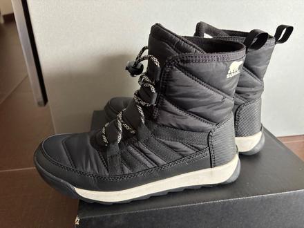 Snehule sorel, sorel,35