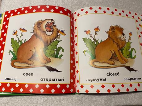 Rusko anglicka detská knižka opposites protivopolo,