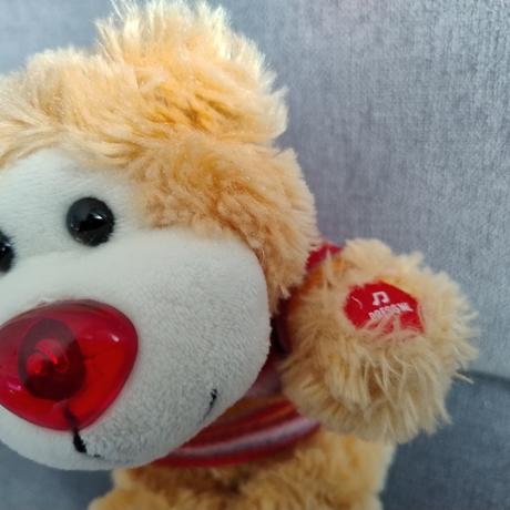 Plyšák - hrací medvedík, 