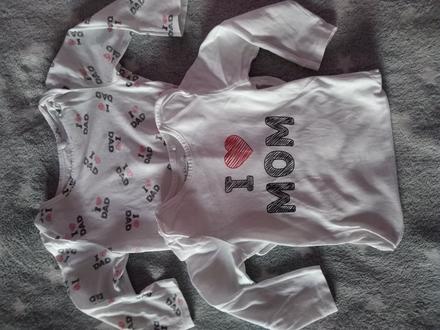 2 x body, fox & bunny,86