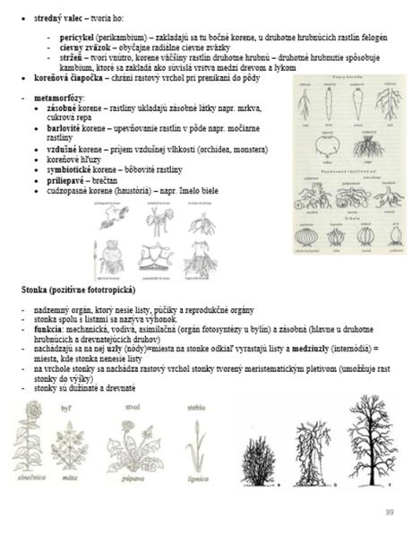 Poznámky na maturitu z biológie/prípravu na vš, 