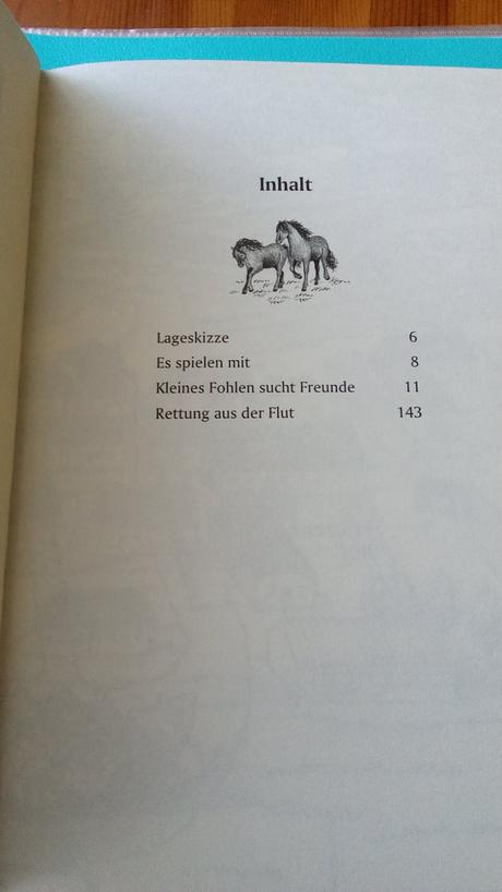 Pferdefreunde, sommergluck, 
