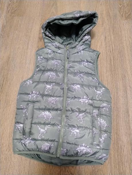 Vesta dinosaurus, 134