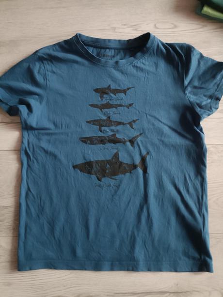 Mix triciek, chapter young,146