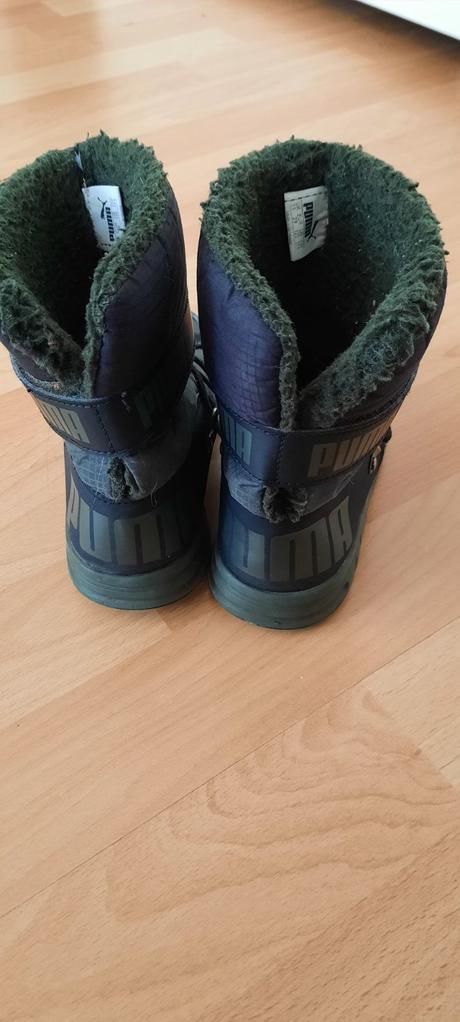Zimné pumy, puma,28
