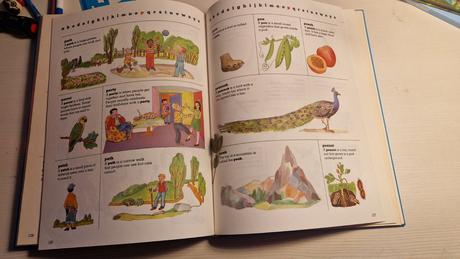 Stará kniha môj prvý anglicky slovník, 