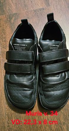 Muris petra celorocky v. 34, 34