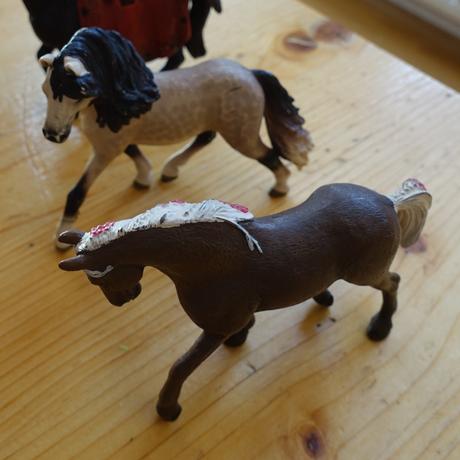 Kone schleich,