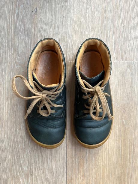 Filii gecko veľ. 28, filii,28