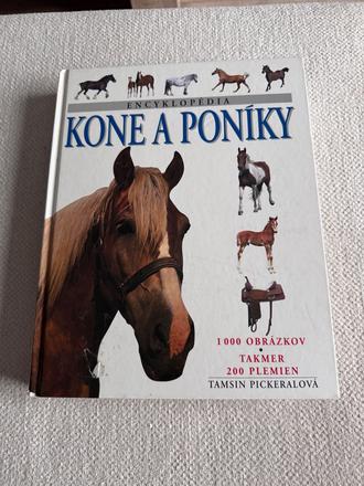 Kone a poniky, 