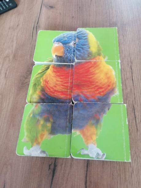 Prvé knižky zvieratka,