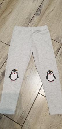Leginky 122, primark,122