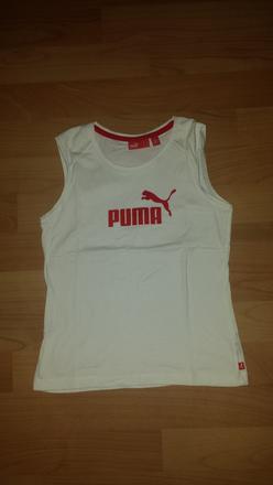 Tielko puma, puma,140