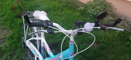 Bicykel torpado kelly 24, 24