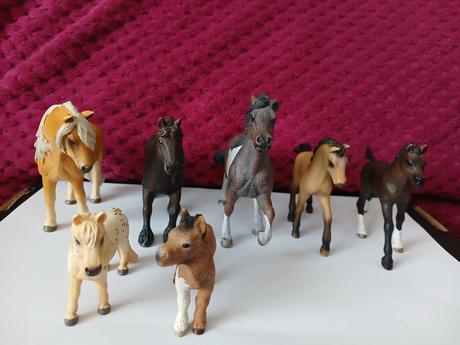 Schleich kone, 