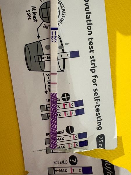 Ovulačný test Livsane: Je môj výsledok pozitívny?