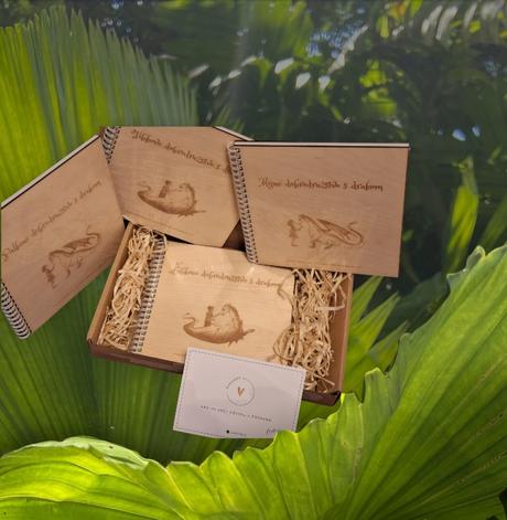 Dobrodruzstvo s drakom s menom+foto vasho dietata, 