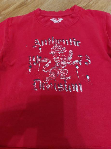 Tričká s dlhým rukávom 2ks, dopodopo,104