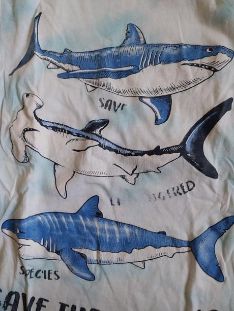 Tricko žralok, 116