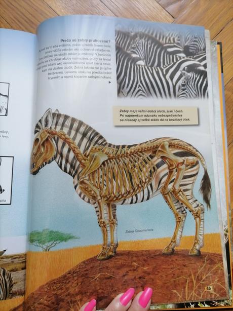 Zvieratá zblízka-1x prečítaná-top stav,