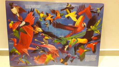 Velikanska krasna kniha zvierat, 