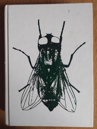 Detská detektívka pozri sa mi do očí, 