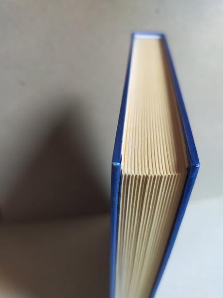 Levy a čipka, meagan mckinneyová,