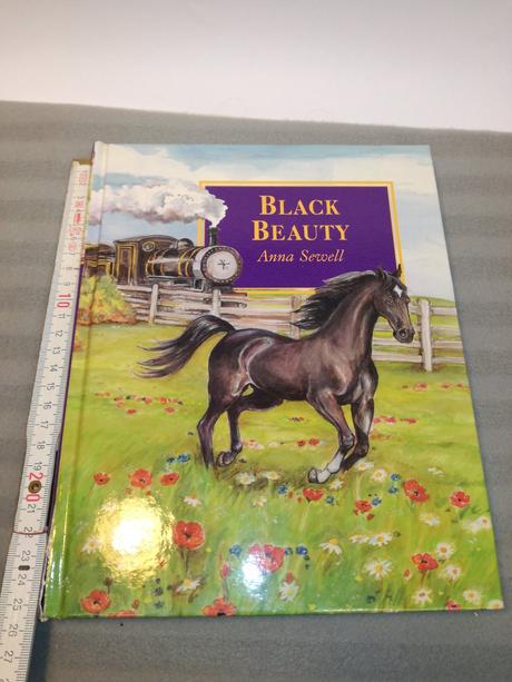 Anna sewell - black beauty  su22, 