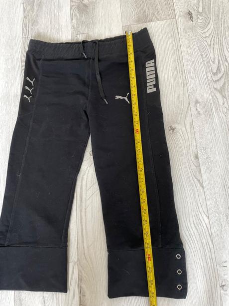 Puma trištvrťáky, puma,m