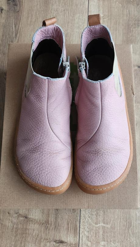 Froddo chelys v.35, froddo,35