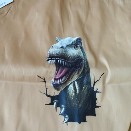 Taška na prezúvky, 