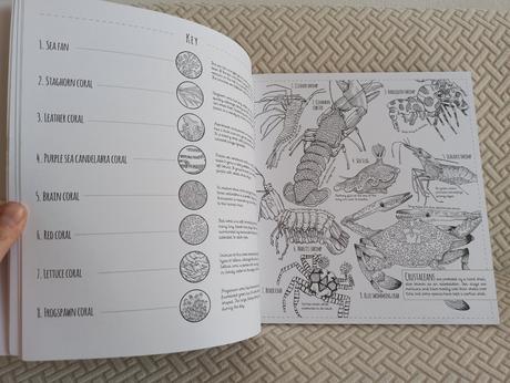 Lucy engelman - creatures great and small,