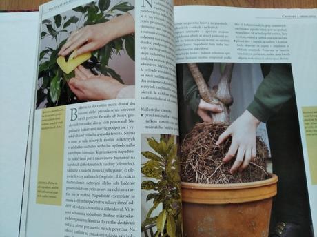 Kniha o rastlinách, 