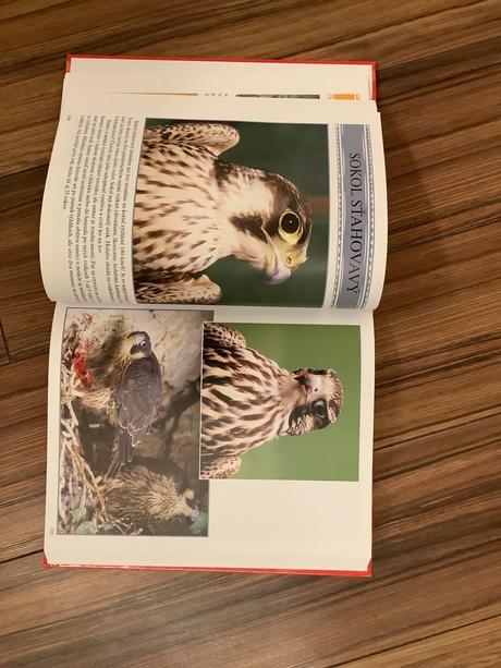 Encyklopedia zvierat, 