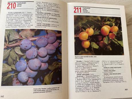 Retro stará kniha 1000 dobrých rad zahradkařům,