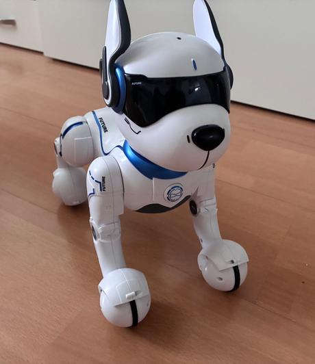 Robotický pes, 