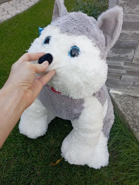Veľký plyšový psík, 