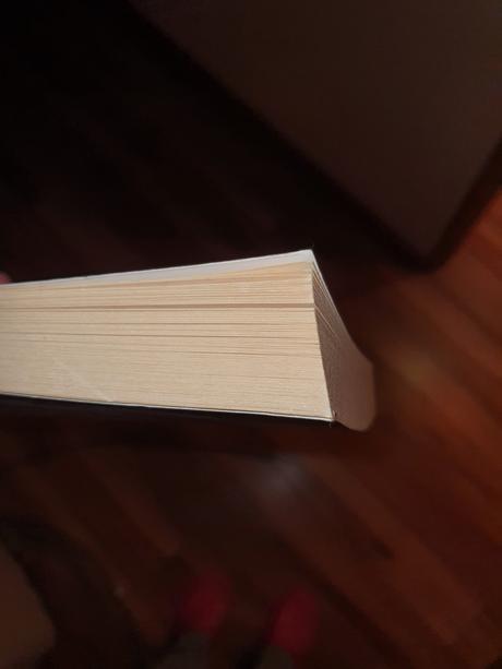 Pocertena ockov anjelik, 