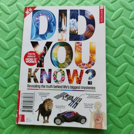 Did you know 124 stran,