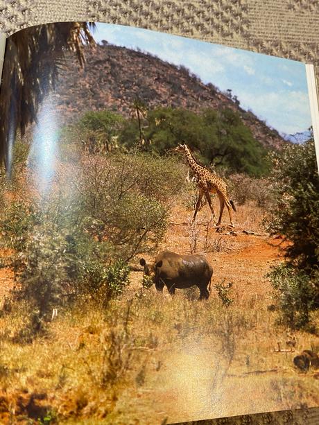 Vágner schneiderová lev nie je kráľom zvierat,