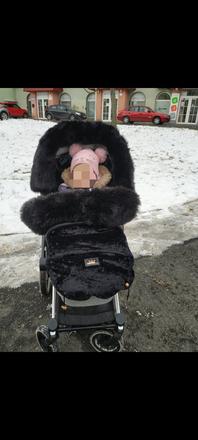 Bjallra kožušina na kočík, 